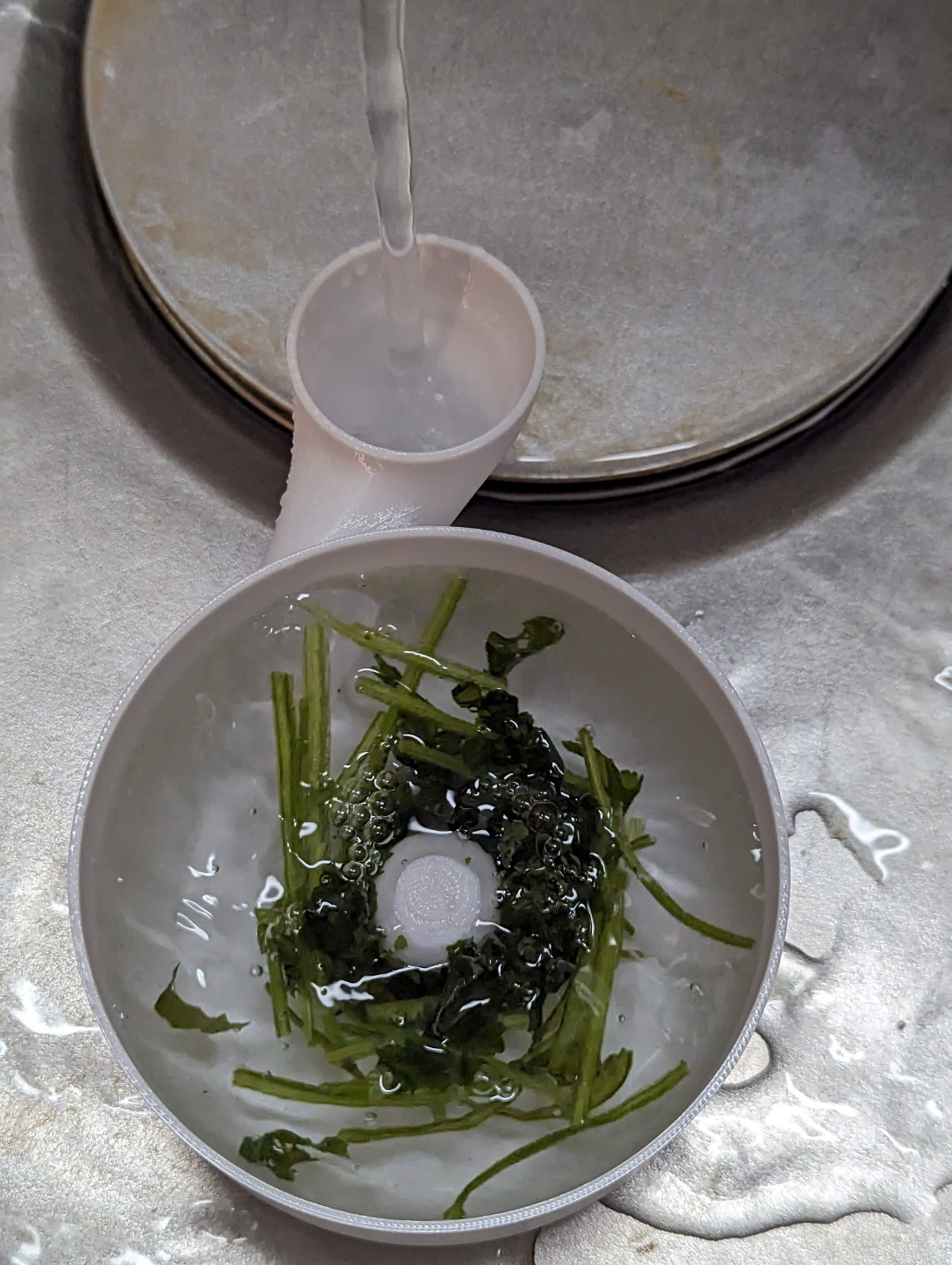 Vegetable and Fruit Washer Detail